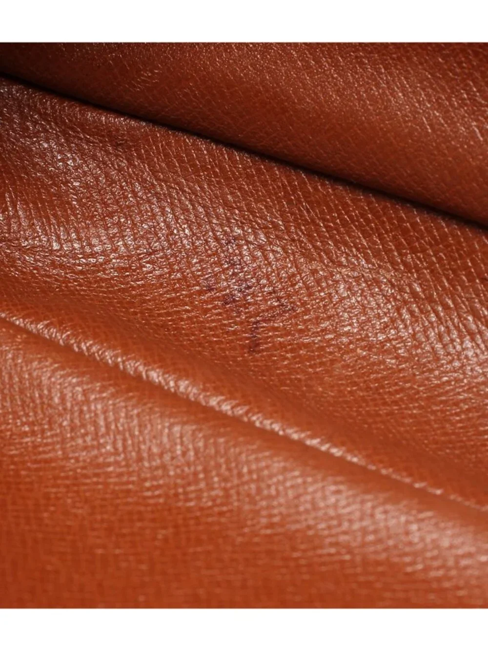 Louis Vuitton Clutch Marly Dragonne GM Monogram